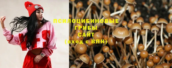 хмурый Армянск